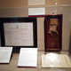 Illustration for article titled Pictures from the Reagan Library: The Titanic Exhibit
